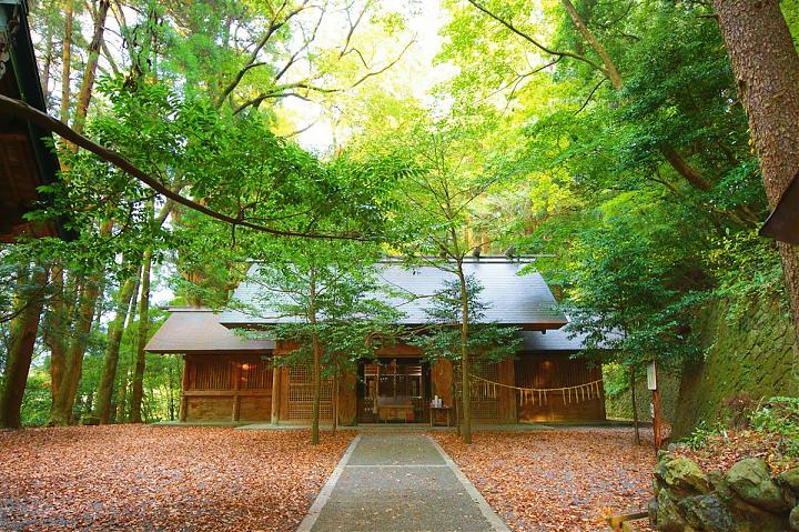 福岡発｜九州・宮崎日帰りツアー：高千穂峡、白川源流、天岩戸神社を巡る神話の地