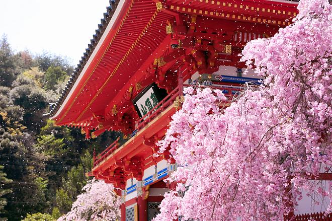 北大阪からの日帰り旅行：日清カップヌードルミュージアムと大江戸温泉