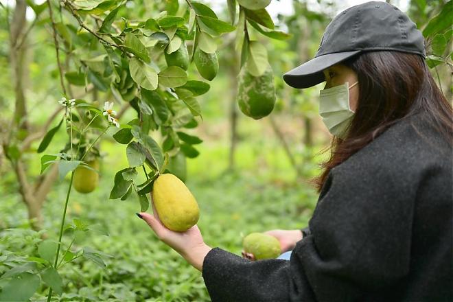 カントリーキッチン | 新竹ブルーホエールレストラン。獲れたての新鮮な魚介類を調理。