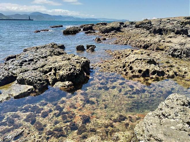 海女物語 | 基隆市和平島の海女たちと一緒にテングサを集めよう