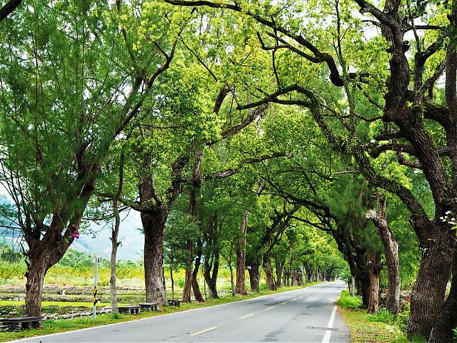 台東鹿野と池上への日帰り旅行（チャーター車）。お好みのルートを選ぼう | 最も美しい縦谷を気軽に散策