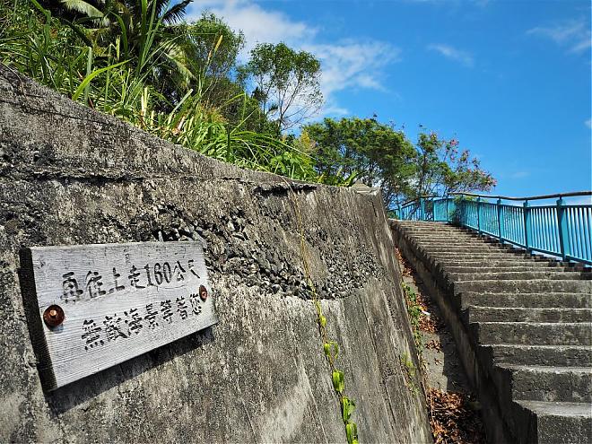 台東のカンゾウの季節を満喫する一日チャーター | 必ず訪れたい多良駅。市内送迎
