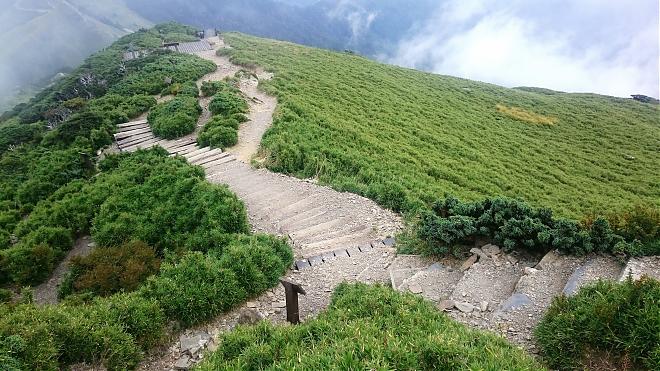 南投 | 台湾固有のビャクシン × 合歓山高山植物 | 1日ツアー