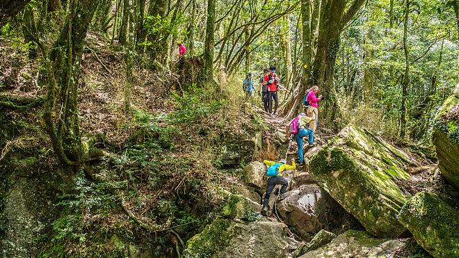 苗栗佳里山日帰りソロハイキングツアー | 台湾の富士山登頂