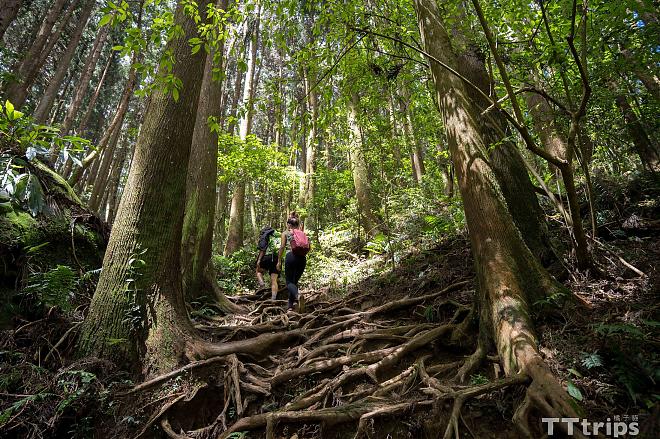 苗栗佳里山日帰りソロハイキングツアー | 台湾の富士山登頂