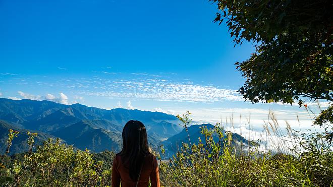 苗栗馬拉邦山道。小白岳を登る一日 | 1月から3月はイチゴ狩り