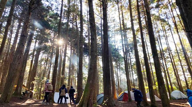 新竹高島歩道。高台山と島田山を一日で巡る | 霧の森