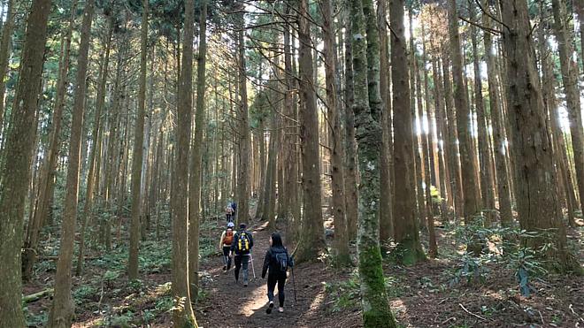 新竹高島歩道。高台山と島田山を一日で巡る | 霧の森