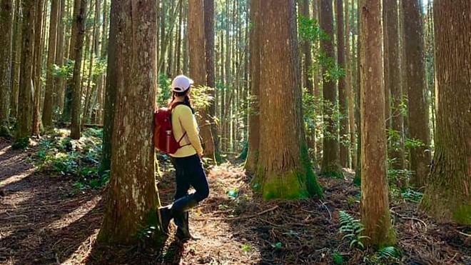 新竹高島歩道。高台山と島田山を一日で巡る | 霧の森