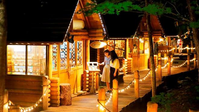 夏の北海道日帰り旅行｜四季彩の丘・ファーム富田・森のエルフテラス日帰りプラン（マスクメロン食べ放題）