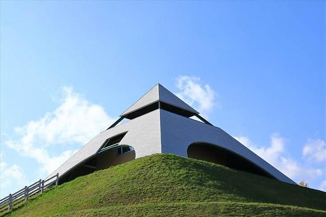 夏の北海道日帰り旅行｜四季彩の丘・ファーム富田・森のエルフテラス日帰りプラン（マスクメロン食べ放題）