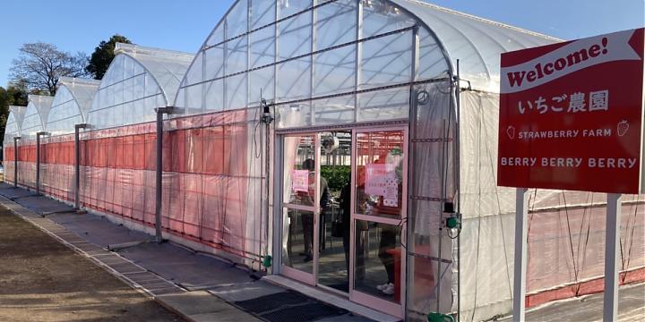 新宿発｜いちご狩り食べ放題、伊香保温泉、深谷ガーデンアウトレット日帰り旅行