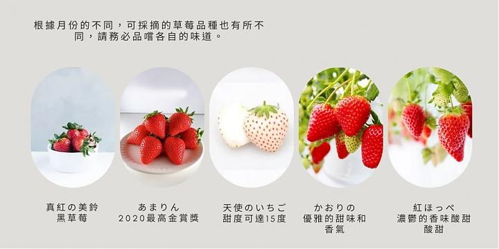新宿発｜いちご狩り食べ放題、伊香保温泉、深谷ガーデンアウトレット日帰り旅行