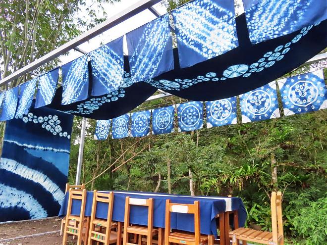 花蓮の鯉魚潭で半日サイクリング | 蝶の生態と草木染めの工芸品