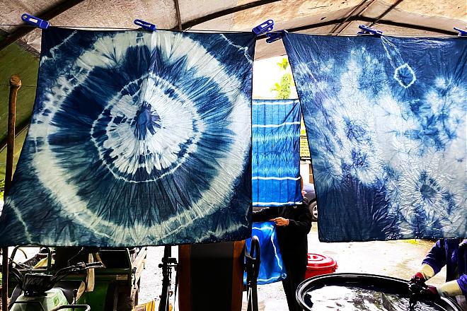 花蓮の鯉魚潭で半日サイクリング | 蝶の生態と草木染めの工芸品