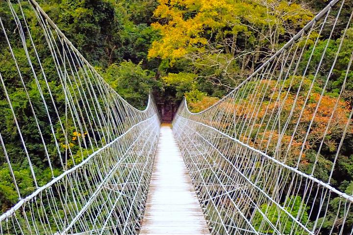 新竹の下卡羅歩道：紅葉鑑賞付き2日間ハイキング＆キャンプツアー｜襄陽往復