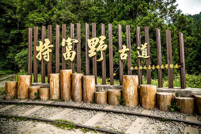 阿里山特福野歴史トレイルとアンプラグドコーヒー体験 2日間ツアー