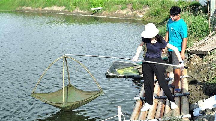 台南七股魚類教育ツアー | チにエビ？白エビ養殖と養殖池で食事