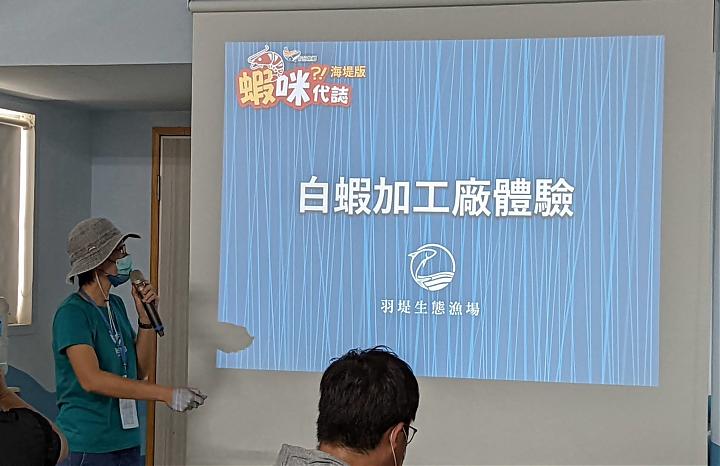 台南七股魚食教育ツアー | 後宮エビマン？！白エビ加工工場体験