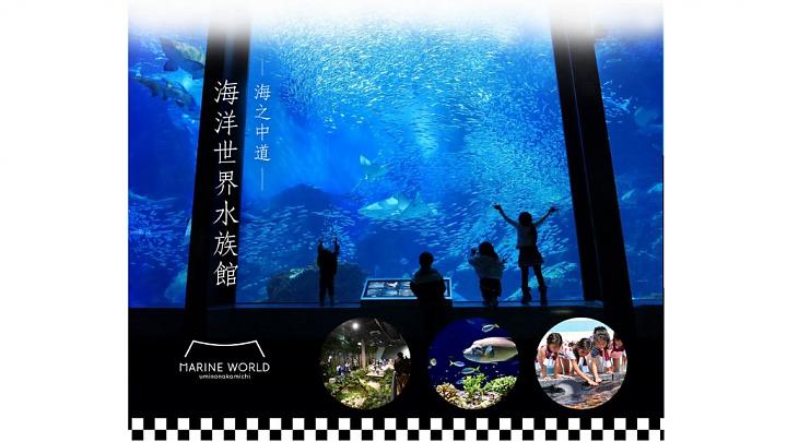九州ファミリーアドベンチャー5日間｜ジャングルバス、海の中道海洋生物博物館・水族館、別府ロープウェイ、柳川下り、九重夢大橋【ビザ付き】