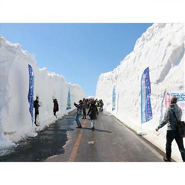 仙台発｜2025年 宮城蔵王雪の大壁と大河原一目千本桜 日帰り旅行