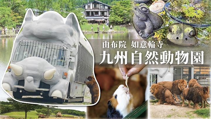 九州動物園と湯布院日帰り旅行（福岡発）｜中国語ガイド