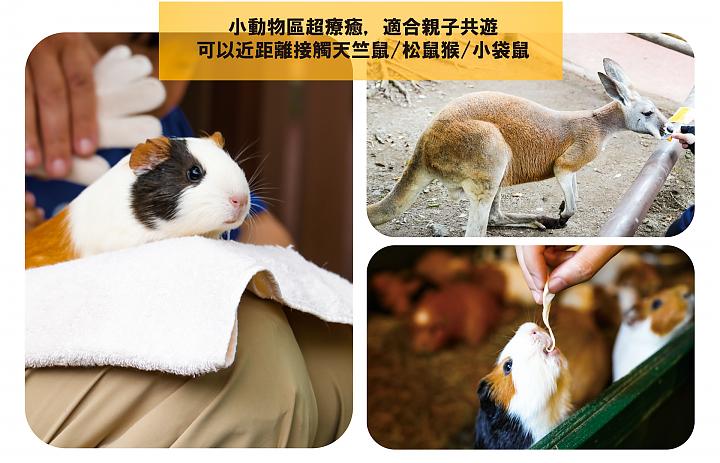九州動物園と湯布院日帰り旅行（福岡発）｜中国語ガイド