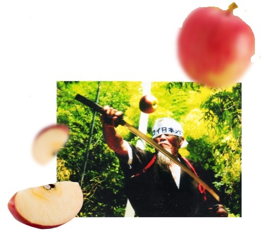 마지막 부시도