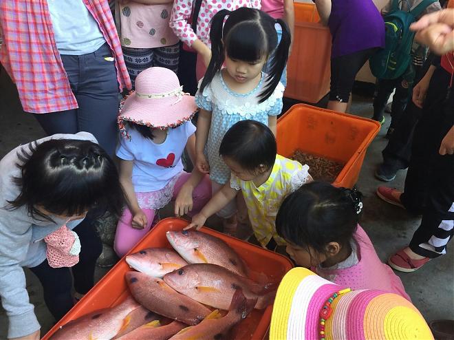 [원점의 기원] 신우의 백년된 돌보를 탐험하고 신선한 생선완자를 맛보세요