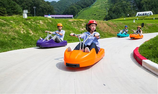 서울 알파카 여름 당일치기 여행 | 알파카 파크 + 스릴 넘치는 슬로프 롤러코스터 + 유기농 복숭아 따기