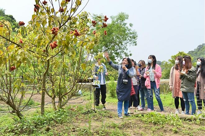 시골 주방 | 먀오리 주오예의 컬러풀 주방 ~ 자연색 요리 체험