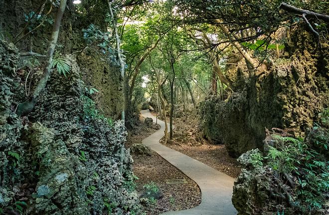 핑둥 | 계절 한정: 컨딩 매 사냥 및 헝춘 문화 생태 관광 | 2일 투어