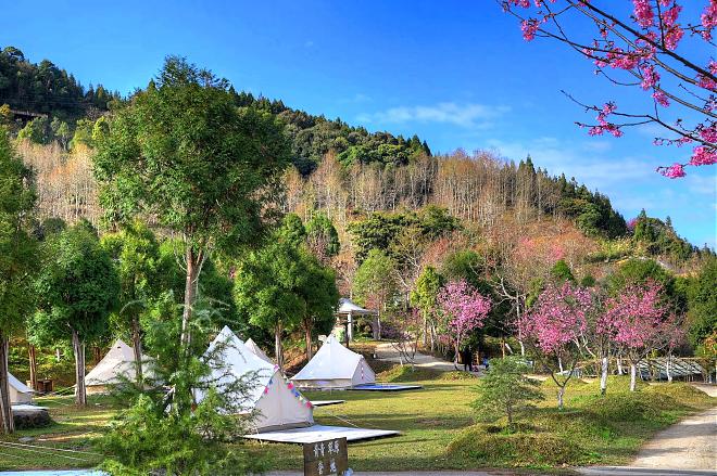 신주 러브시웡 럭셔리 캠핑 | 1박, 4끼 식사, 별이 빛나는 밤하늘 탐험 투어