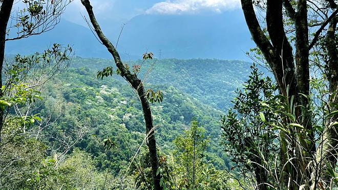 난터우 주루 역사 트레일: 백사슴 사냥 2일 | 타이중 출발