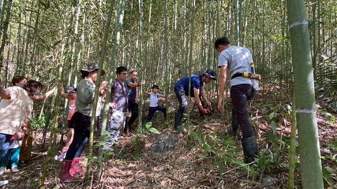 [타오위안 르네상스] 아타얄 대나무 숲 | 1박 2일 부족 캠핑 체험