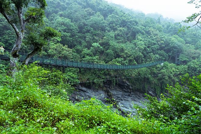 화롄 인촨 유기농 쌀 생산지 투어 - 오감을 만족시키는 자연 치유 여행