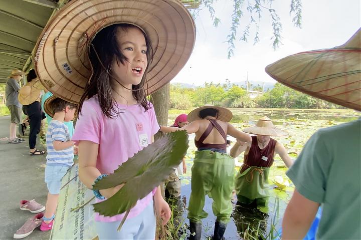수생 식물을 요리로 만들기: 직접 채집하고 요리해 보세요 | 식용 생태학 수업