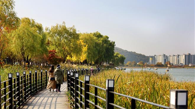 대구공항 출발 | 대구 인기 명소 일일 투어 (티머니 카드 사용)