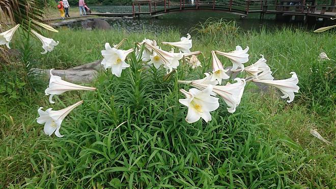 宜蘭龜山島401高地登島申請｜每日限額開放