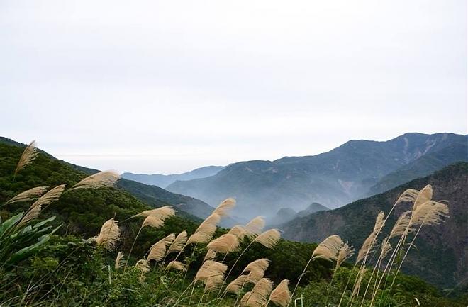 浸水營古道一日健行｜屏東走到台東．20K人文生態長廊
