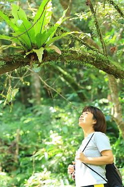 浸水營古道一日健行｜屏東走到台東．20K人文生態長廊