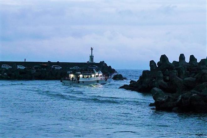 花蓮石梯坪夜釣體驗｜撈飛魚。釣魷魚