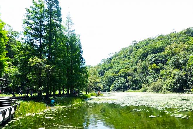 宜蘭福山植物園一日遊。大自然教室深度探索