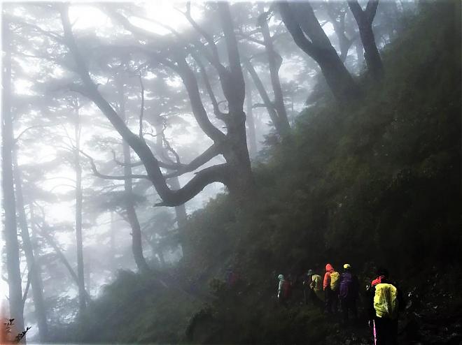 玉山主峰2天2夜登山行程｜攻略東北亞第一高峰