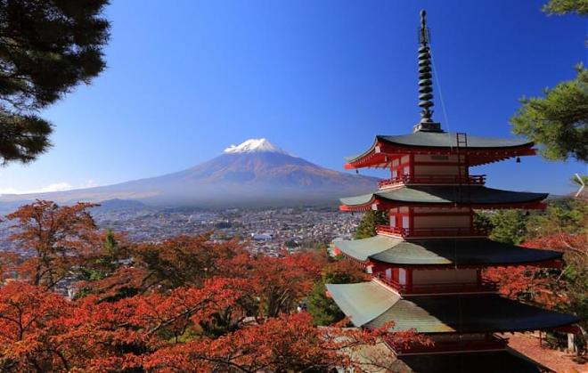 【富士山】富士急樂園．河口湖抹茶體驗一日遊