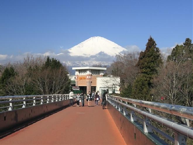 【富士山】富士急樂園．河口湖抹茶體驗一日遊
