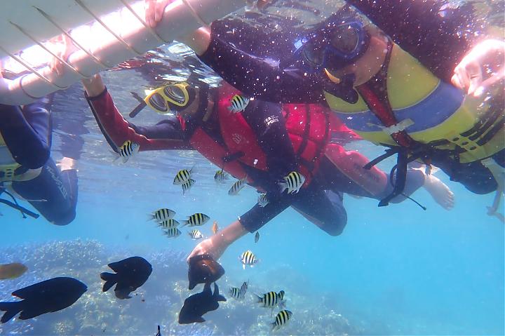 澎湖七美一日遊｜浮潛、獨木舟２選１｜島上機車自由行