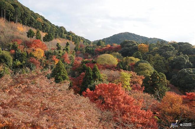 【京都出發】京都經典之旅 – 金閣寺、清水寺與銀閣寺散策