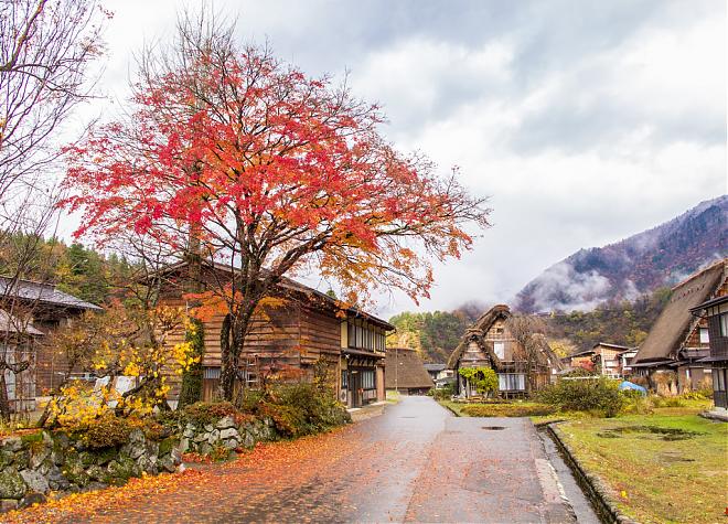 世界遺產之旅｜白川鄉．五箇山合掌村(高山出發)
