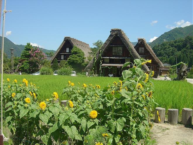 世界遺產之旅｜白川鄉．五箇山合掌村(高山出發)